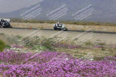 media/Feb-04-2023-SoCal Trackdays (Sat) [[8a776bf2c3]]/Turn 15 Inside Blooming (1050am)/